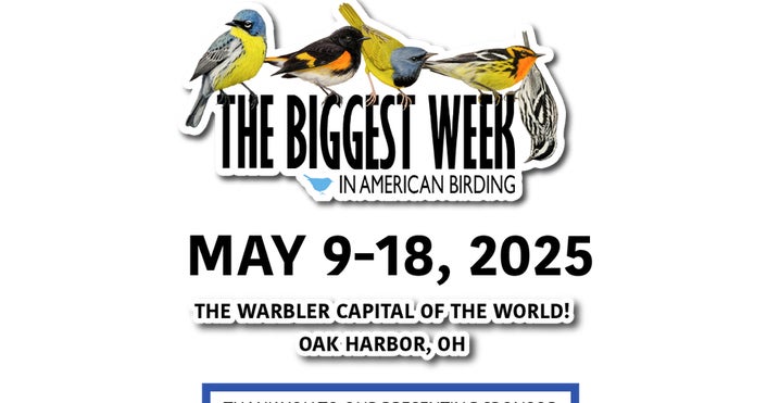 Biggest Week The Biggest Week In American Birding | Sony | Alpha Universe
