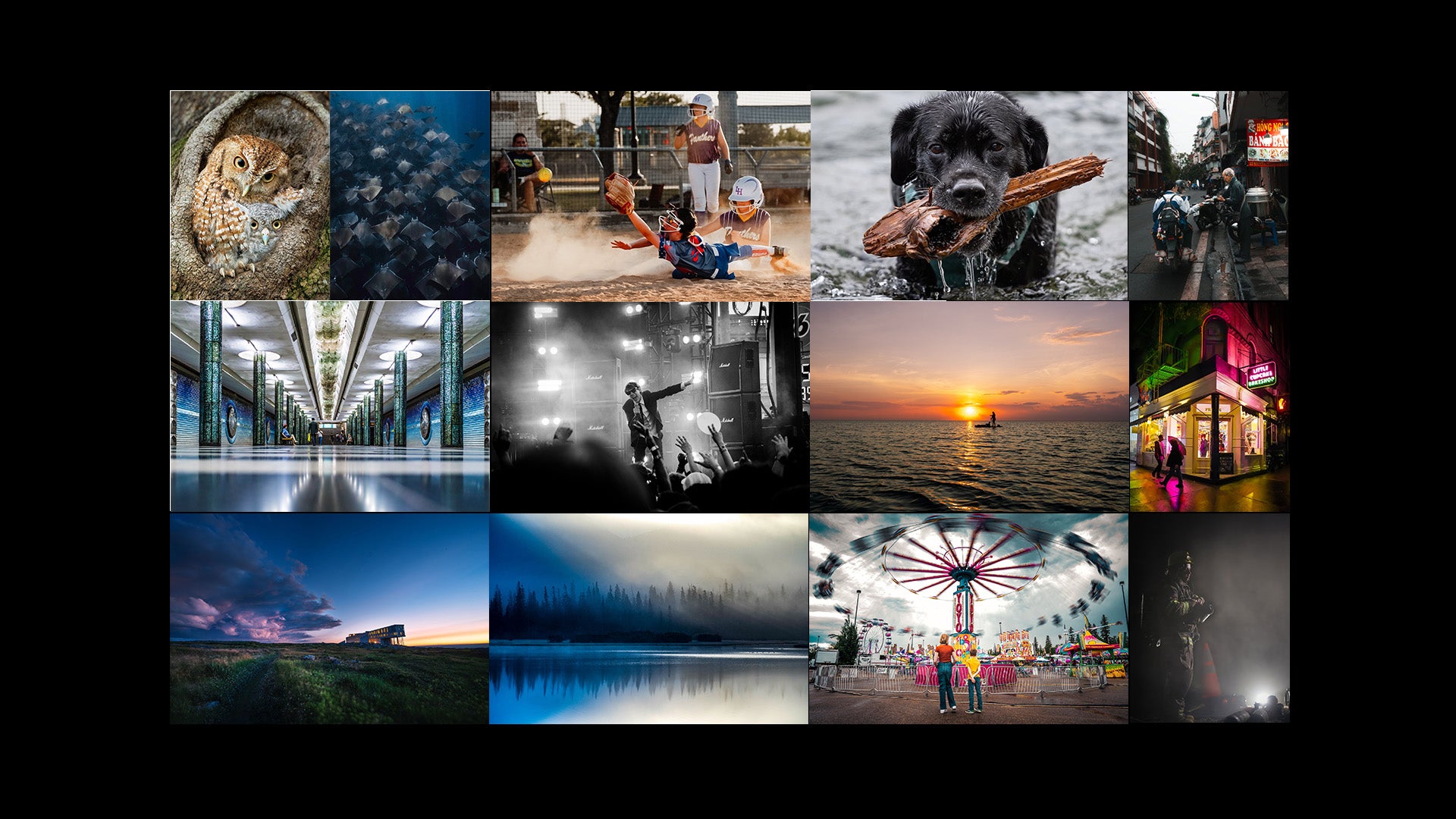 【ねお】beautiful people x ALPHA Alpha Female+ Micro-Grant: Latest $500 Winners & How To Enter