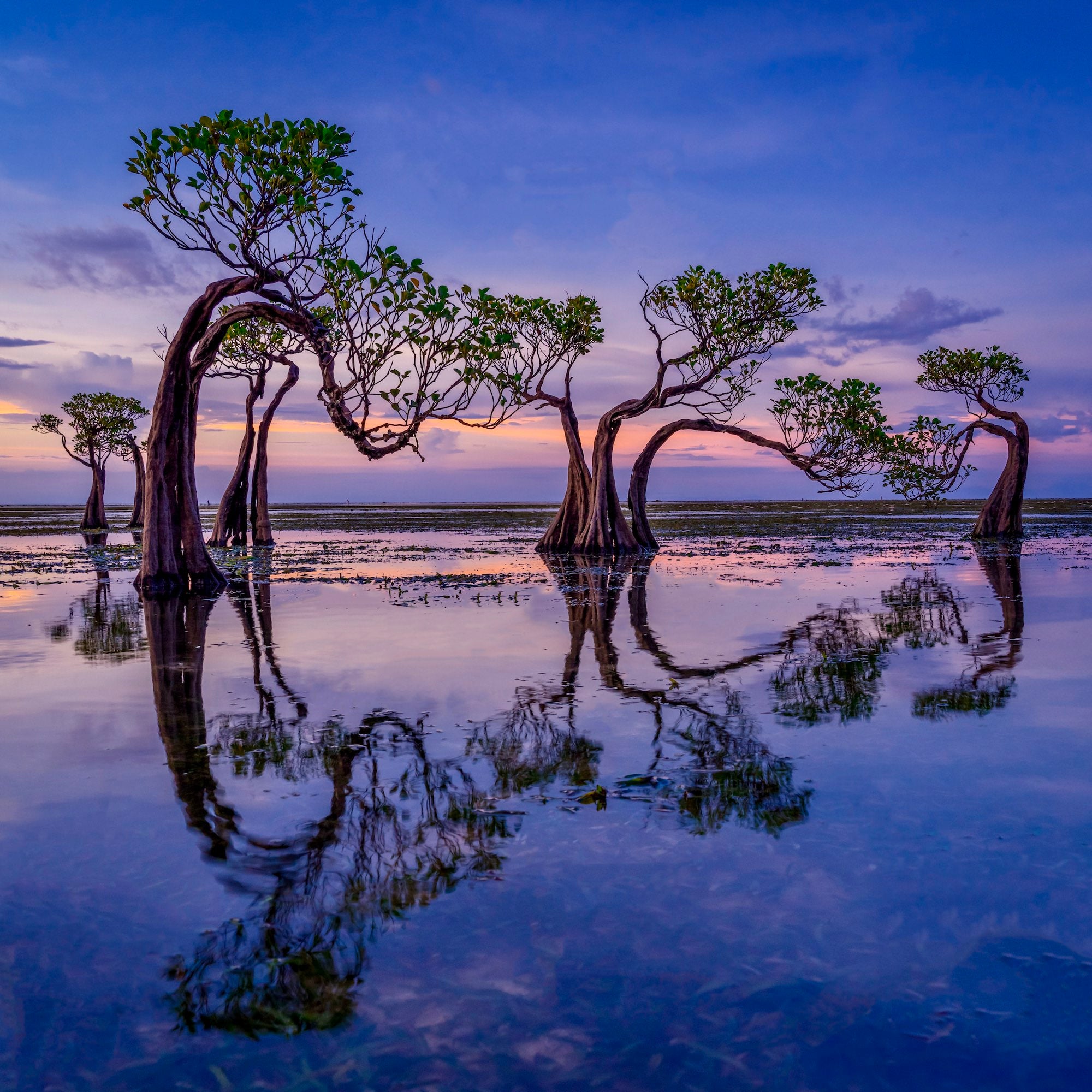 Behind The Shot: Mastering Light & Reflection In Landscape