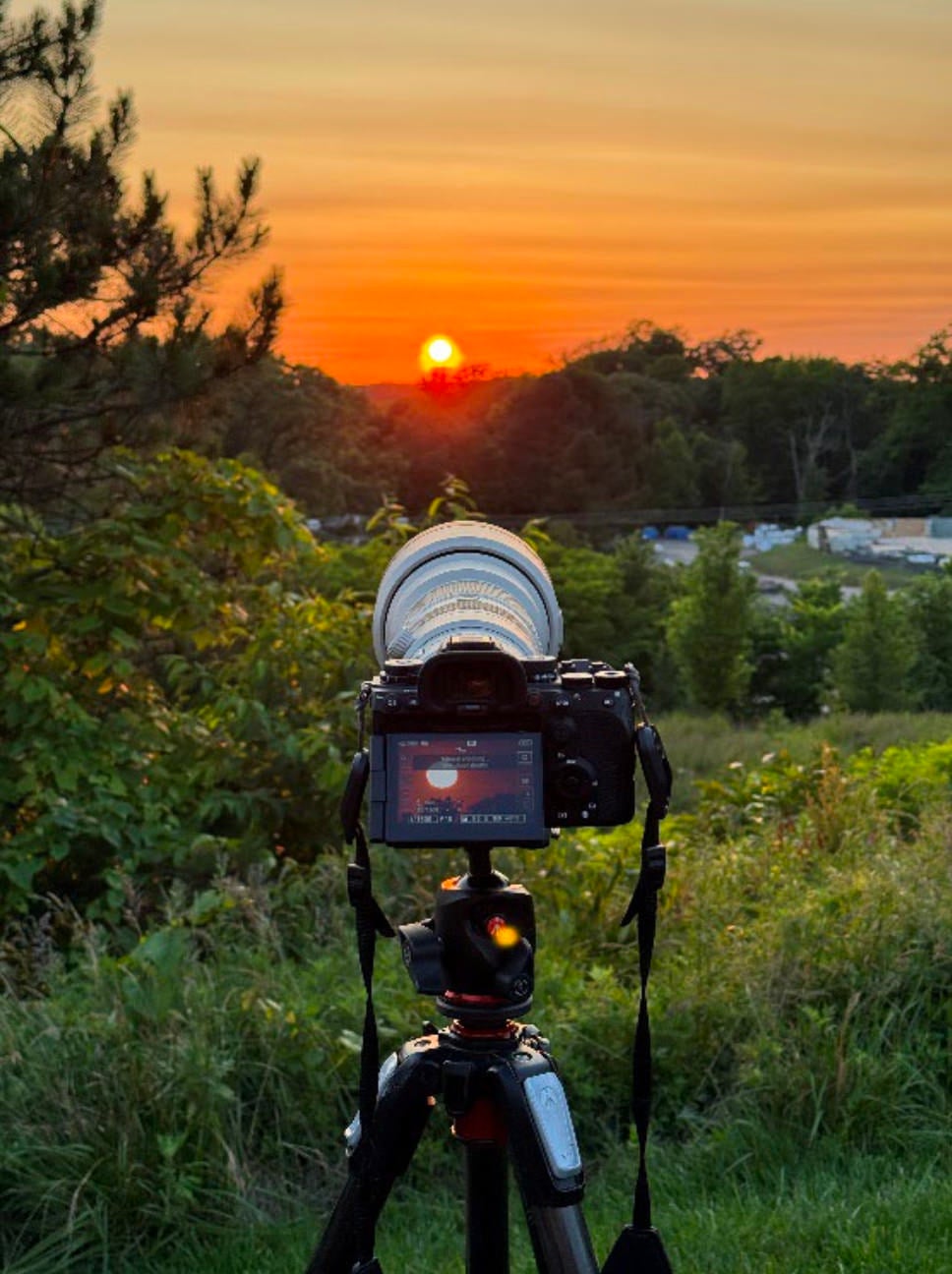 Unveiling The Versatility Of The Sony 400-800mm f/6.3-8 G Lens