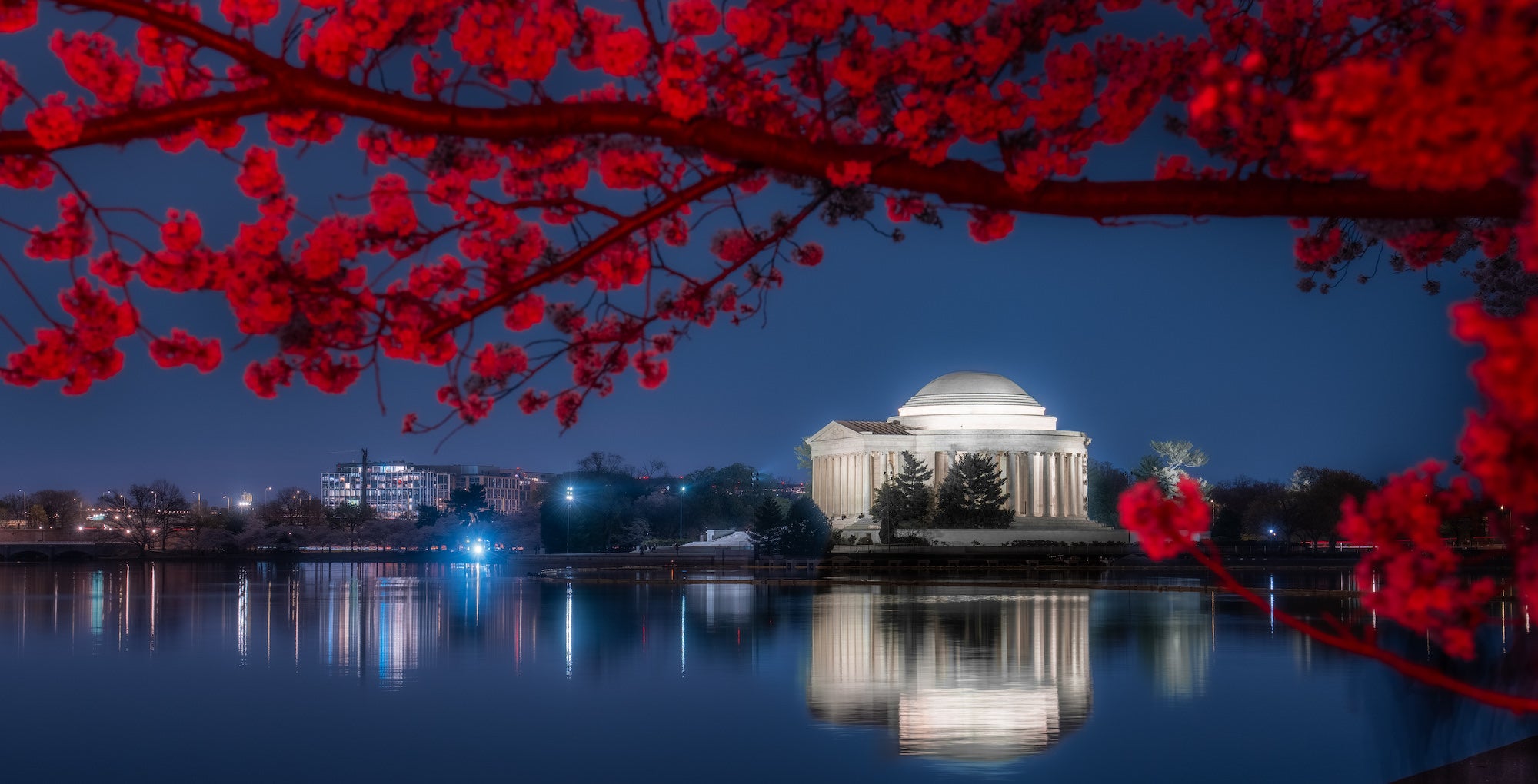 Lighting Up Spring: Filming D.C.'s Cherry Blossoms With The Lighting Up Spring: Filming D.C.'s Cherry Blossoms With The