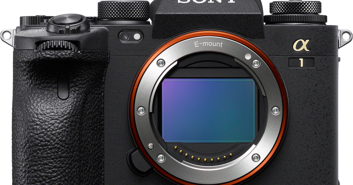 【数々のアワードを受賞】 Sony | α1 | Universe Alpha デジタルカメラ