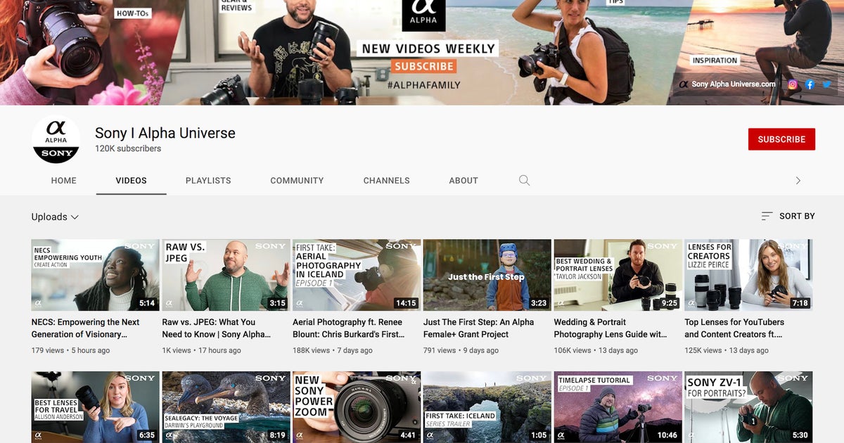 See What These Creatives Have Been Up To On The Alpha Universe YouTube ...