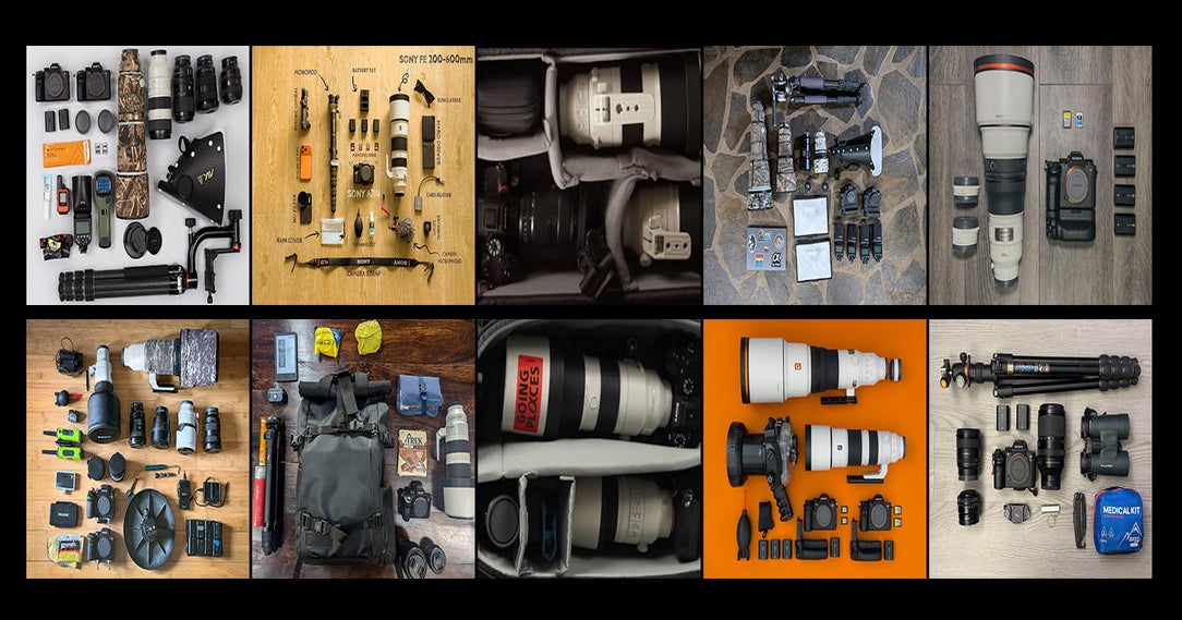 10 Wildlife Photographers Open Their Camera Bags – Here's What's Inside ...