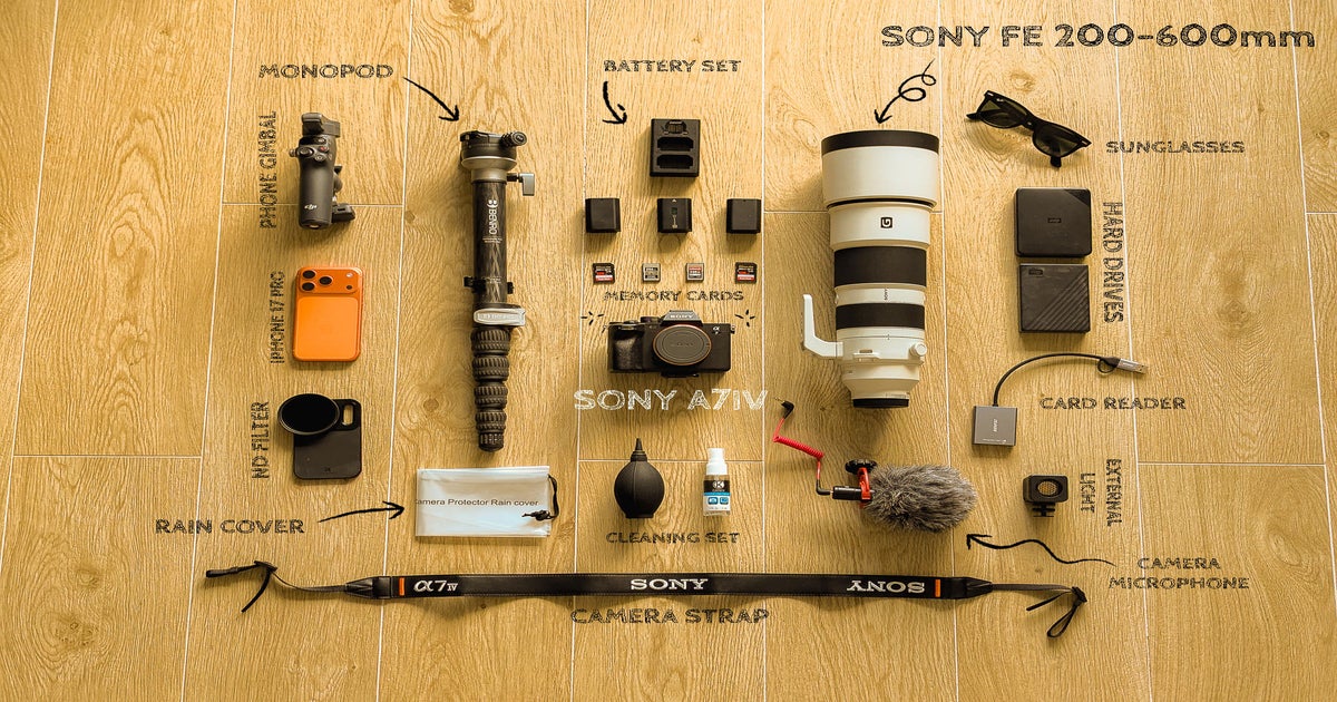 What’s In My Bag: A Single Camera & Lens Setup For Wildlife Photography ...